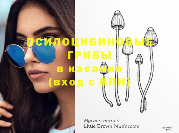 spice Долгопрудный