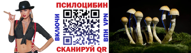 Галлюциногенные грибы мицелий  Нижняя Тура 